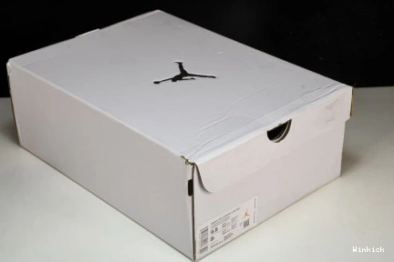 Jordan Fossil 4 Retro AQ9129-200  0809